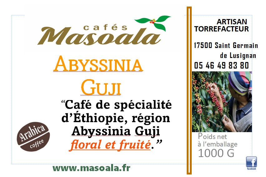 ABYSSINIA GUJI