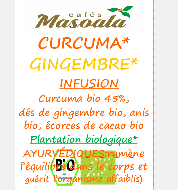 CURCUMA GINGEMBRE