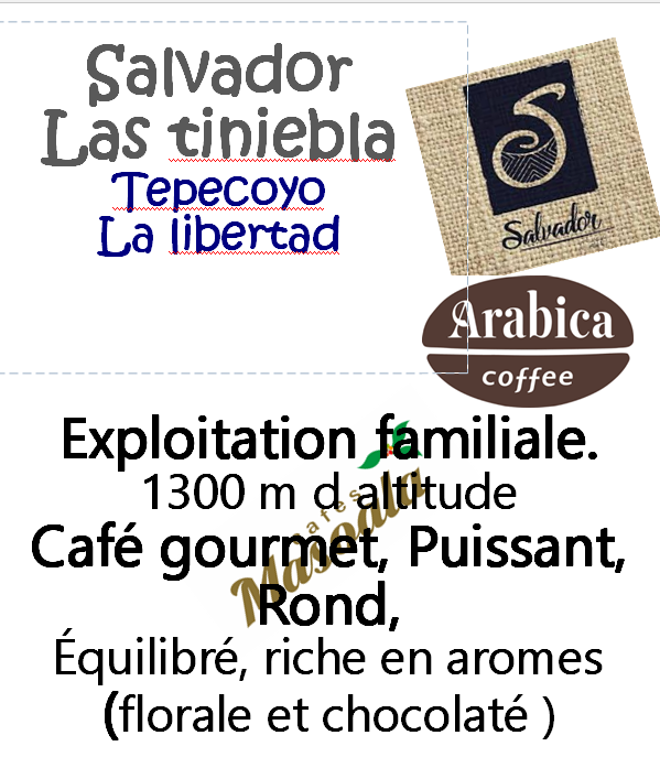 SALVADOR