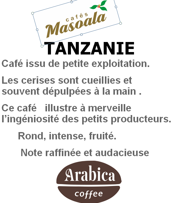 TANZANIE TWIGA