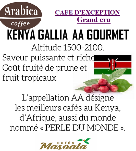 KENYA AA GALLIA GOURMET