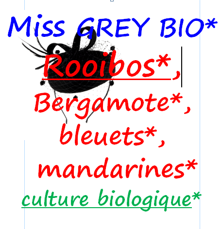 MISS GREY BIO