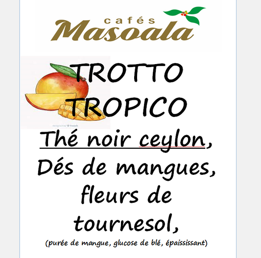 TROTTO TROPICO