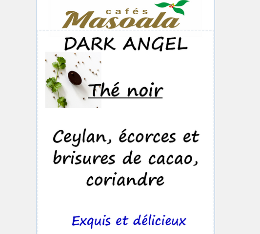 DARK ANGEL