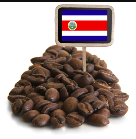 COSTA RICA TARRAZU GRAND CRU