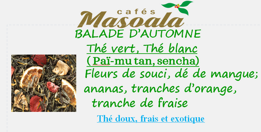 BALADE D'AUTOMNE (prémium)