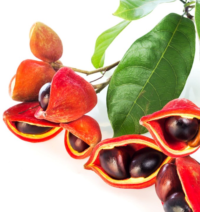 ORANGE GUARANA