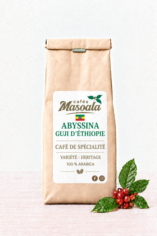 Maquette Abyssinia Guji aux mentions beiges