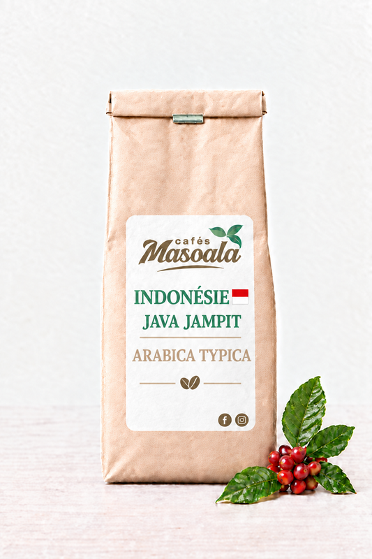Maquette Indonésie Java Jampit, Arabica Typica