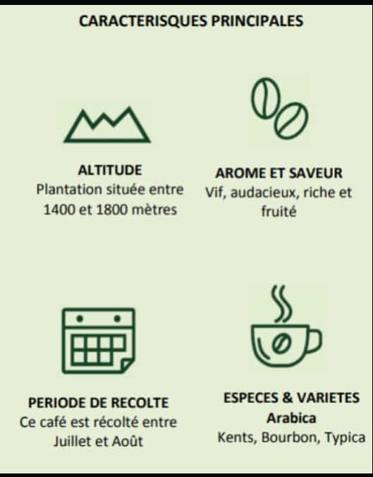 pictogramme démontrant une montagne, deux grains de café, un calendrier, et une tasse de café fumante